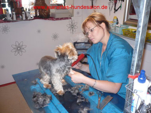ausbildung miriam001