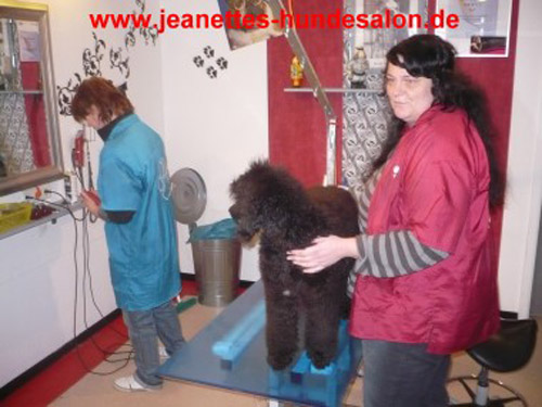 ausbildung001