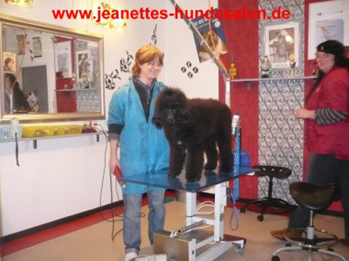 ausbildung004