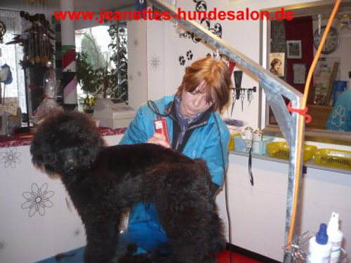 ausbildung005