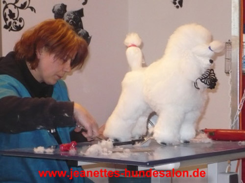 ausbildung008
