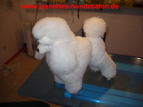 ausbildungSimone012