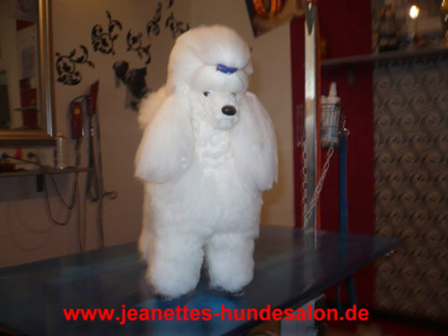 ausbildungSimone013