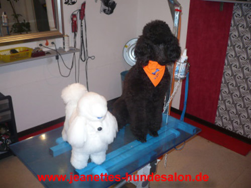 ausbildungSimone014