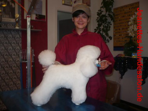 modelpudel002