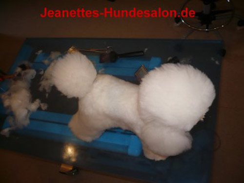 modelpudel008