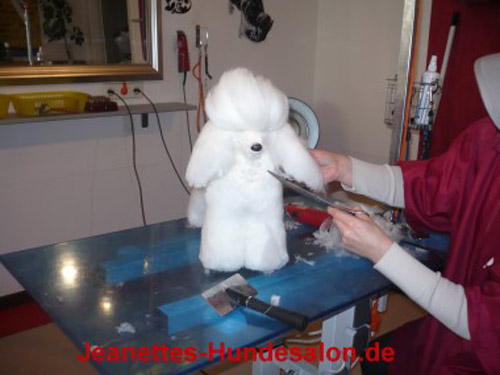 modelpudel011
