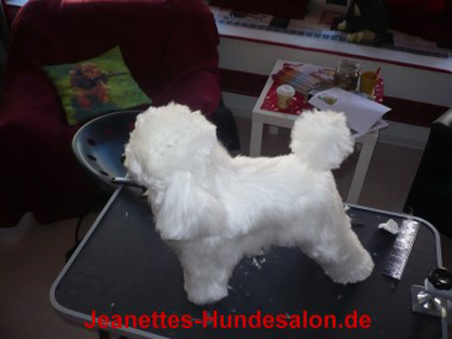 modelpudel017