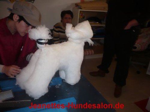 modelpudel019