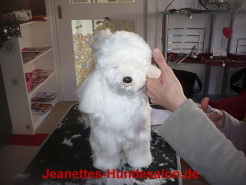 modelpudel020