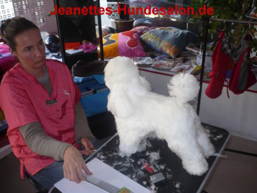 modelpudel026