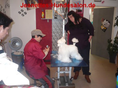 modelpudel028