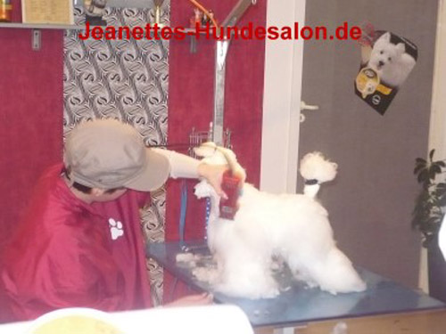 modelpudel029