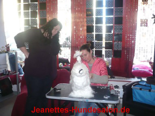 modelpudel030