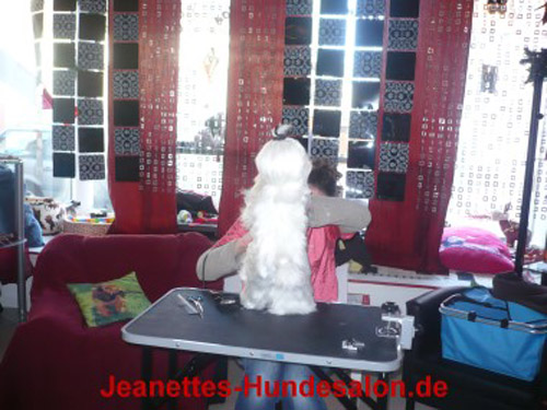 modelpudel032
