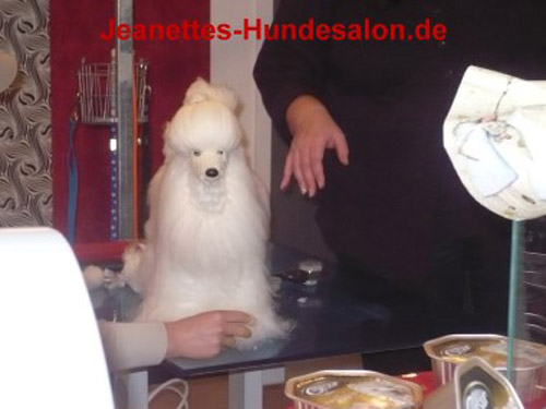modelpudel035