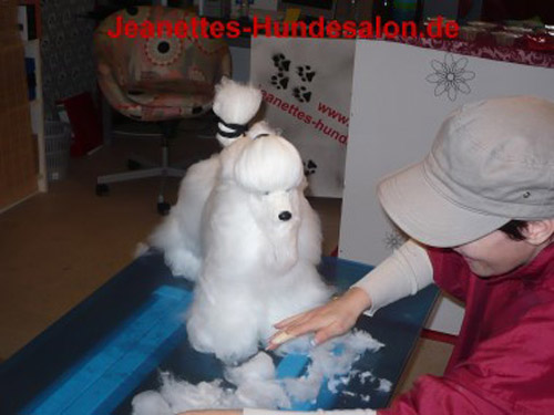 modelpudel036