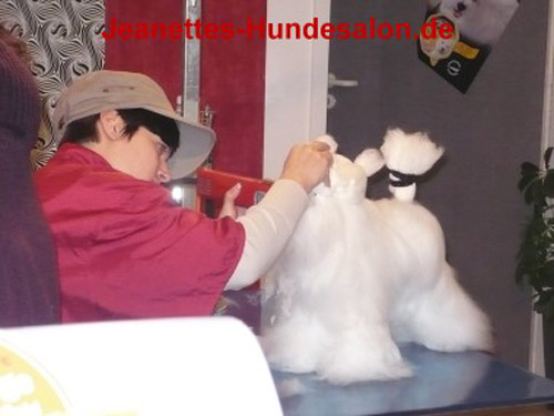 modelpudel037