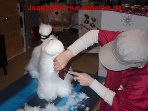 modelpudel038