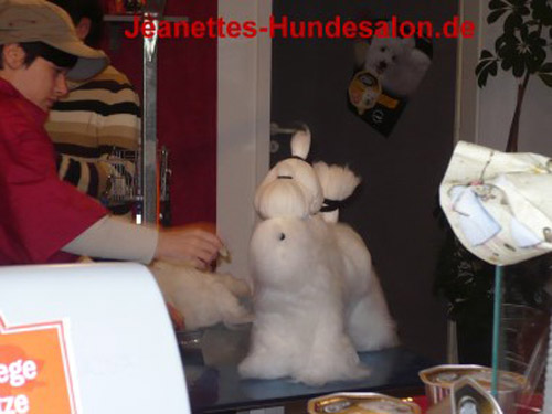 modelpudel045