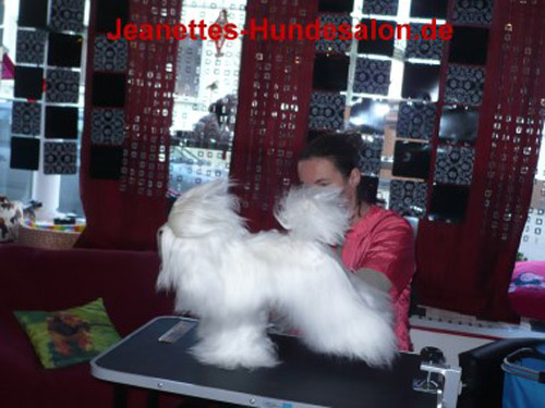 modelpudel048