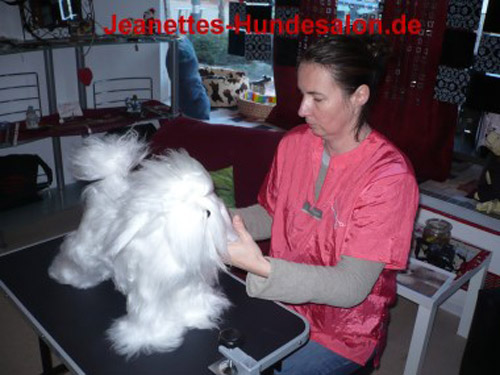 modelpudel049