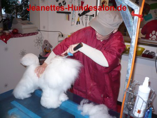 modelpudel051