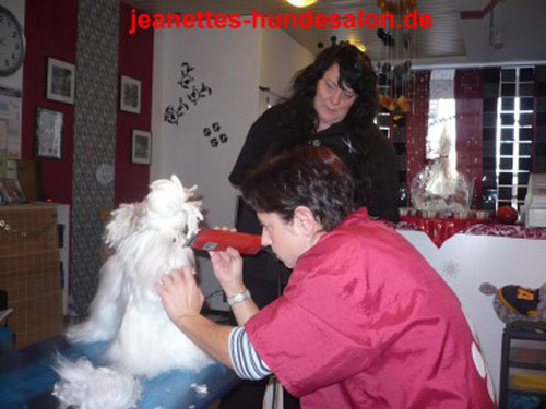 modelpudel053