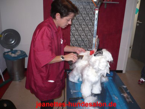 modelpudel055