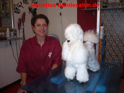modelpudel056