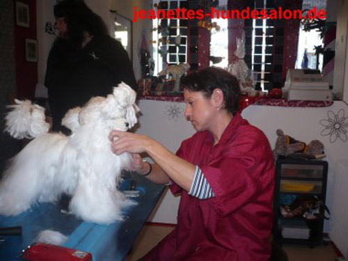 modelpudel057