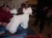 modelpudel019
